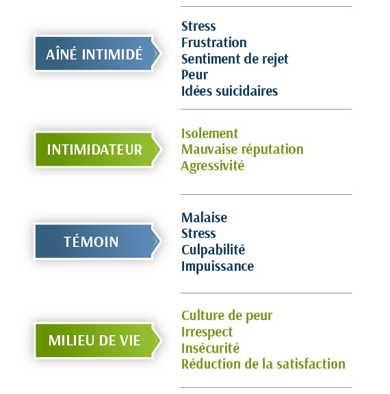 AÎNÉ INTIMIDÉ:StressFrustrationSentiment de rejetPeurIdées suicidaireINTIMIDATEUR:IsolementMauvaise réputationAgressivitéTÉMOIN:MalaiseStressCulpabilitéImpuissanceMILIEU DE VIE:Culture de peurIrrespectInsécuritéRéduction de la satisfaction